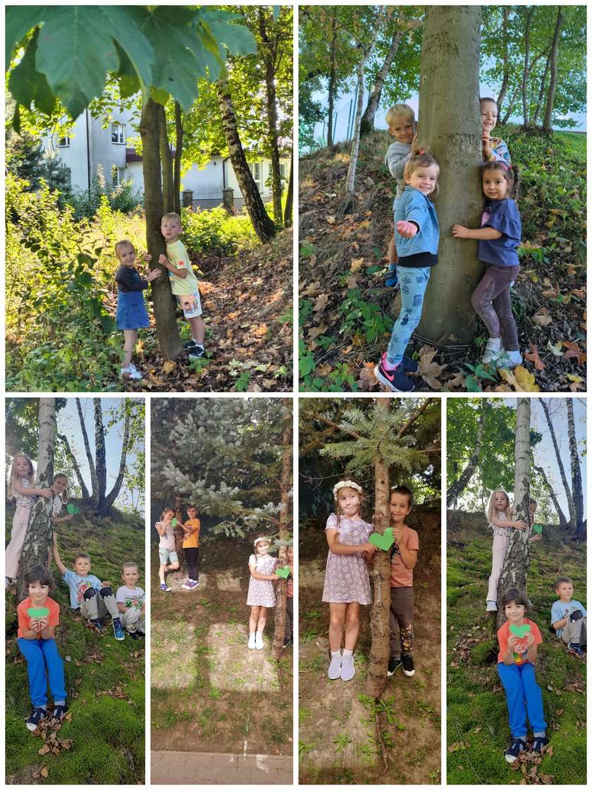 FINAŁ KAMPANII „PRZYTUL SIĘ DO DRZEWA 2025”