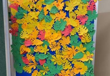 GDY PRAKTYKUJEMY WDZIĘCZNOŚĆ, WIDZIMY WIĘCEJ DOBRA...