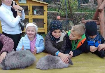 WYCIECZKA 6-LATKÓW B DO MINI ZOO ALPAKA