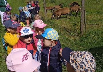 WYCIECZKA DO GOSPODARSTWA EDUKACYJNEGO W ZIELONYM GAJU