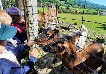 PRZEDSZKOLAKI W ZAGRODZIE NA JĘDRZEJKÓWCE